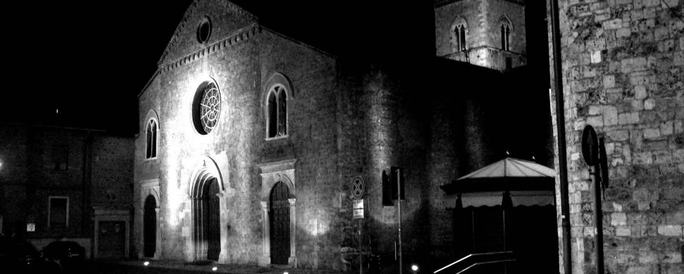 
            Фотография Терни