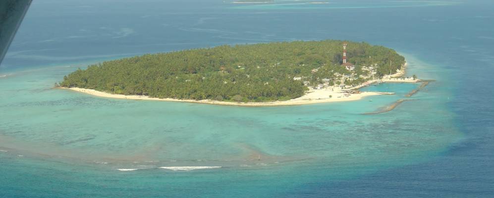 
            Фотография Дараванду