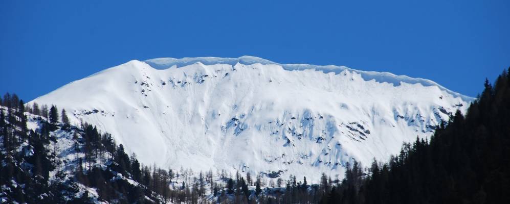 
            Фотография Ультимо