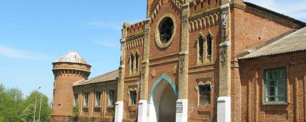 
            Фотография Яковки