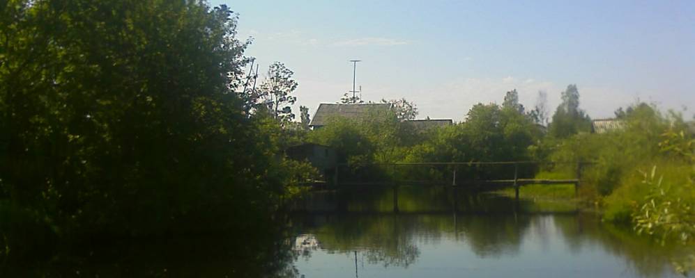 
            Фотография Высочка