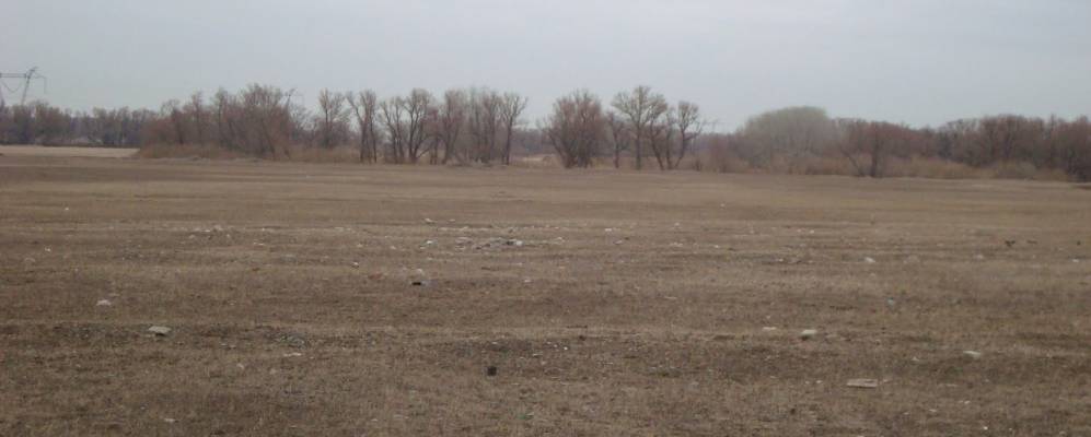 
            Фотография Курколя