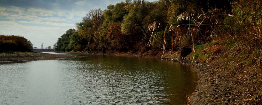 
            Фотография Александровского