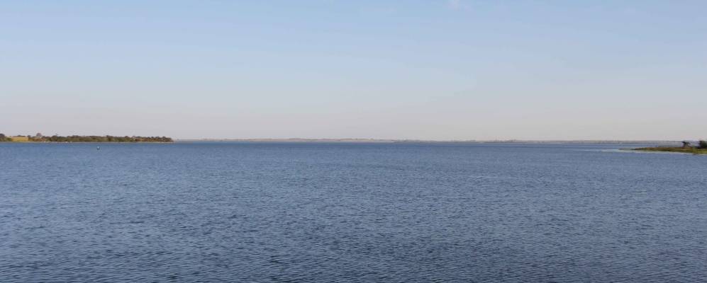 
            Фотография Барретуса