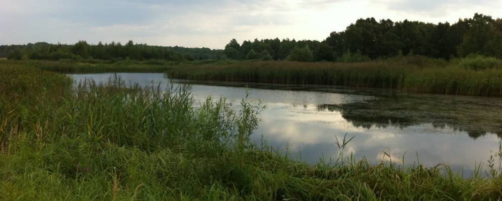 Фотография Федоровки