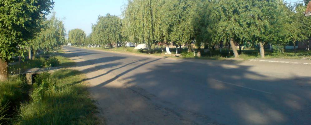 
            Фотография Жнятина