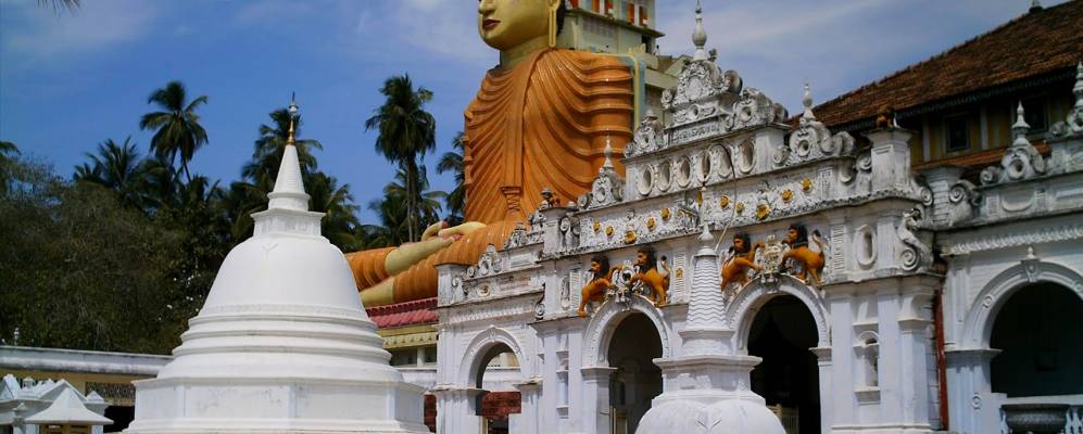 
            Фотография Диквеллы