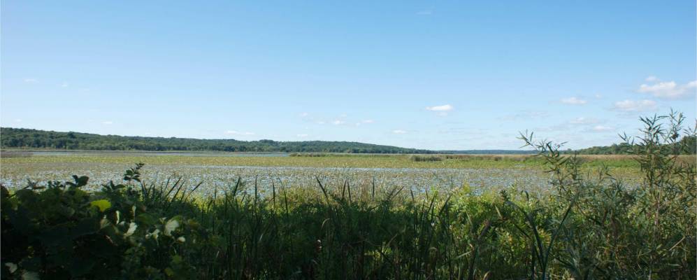 
            Фотография Комо