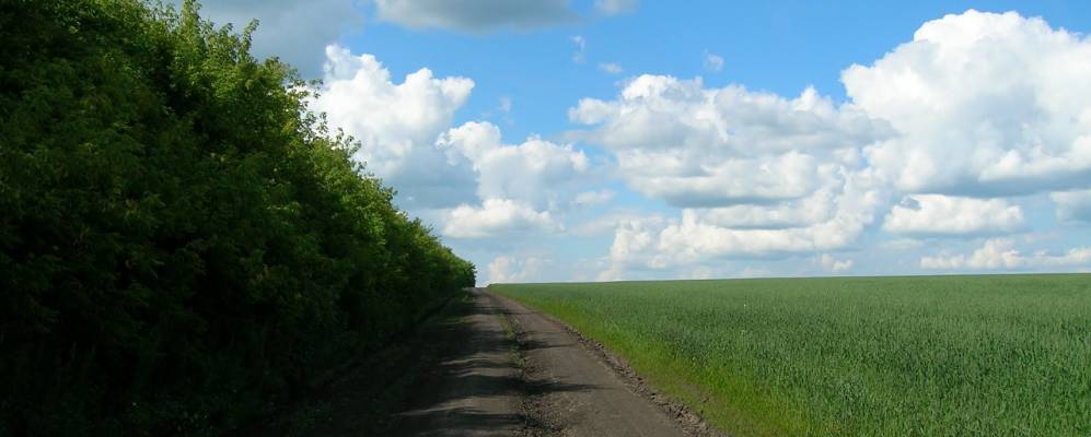 Фотография Куртиновки