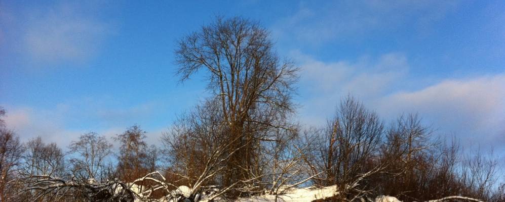 Фотография Савино