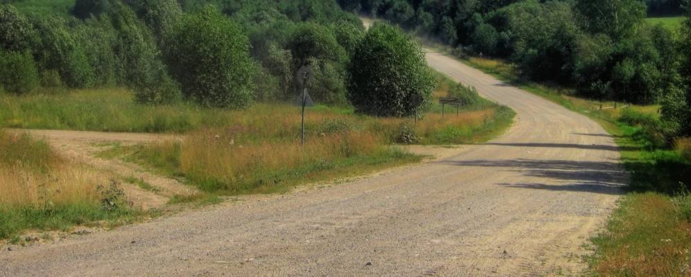 
            Фотография Гороховского