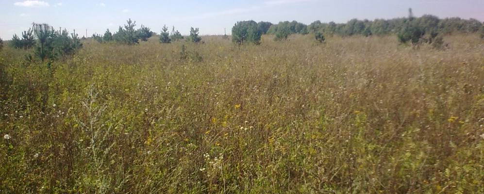 
            Фотография Варовцы