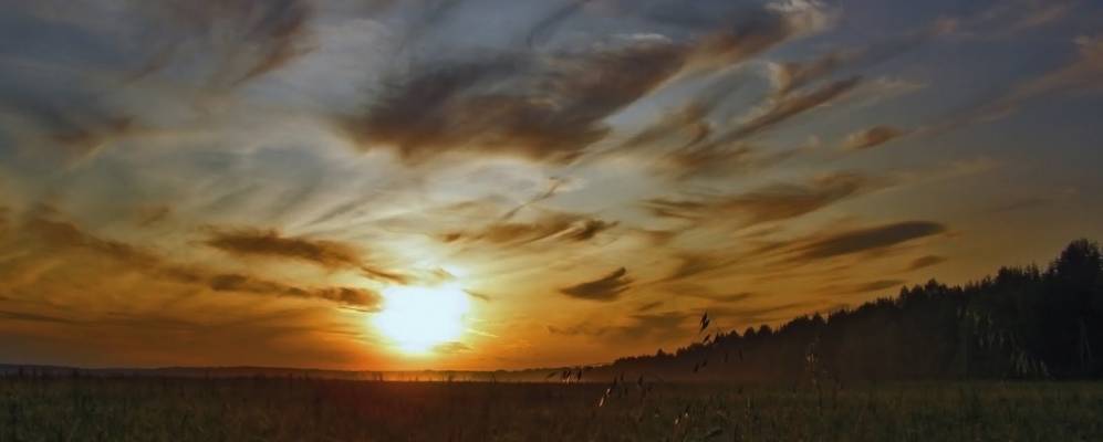 
            Фотография Султаная