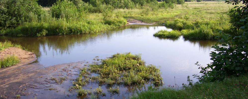 
            Фотография Ленькова