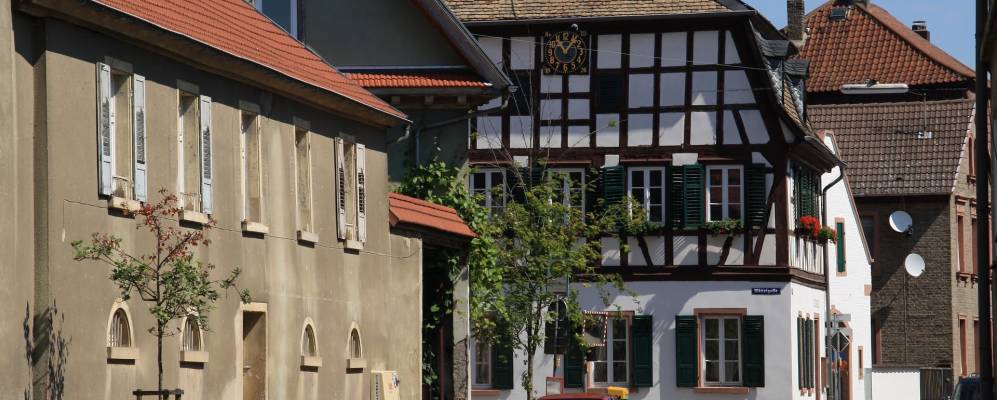 
            Фотография Альсхайма