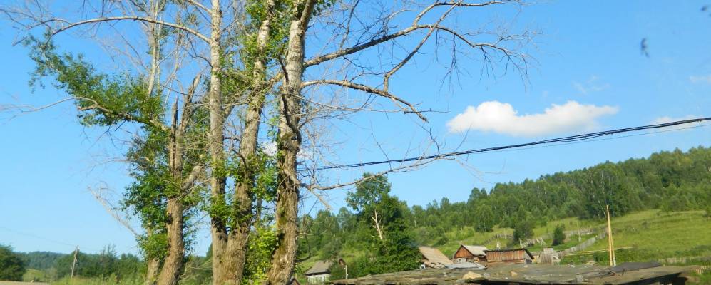 
            Фотография Берикульского