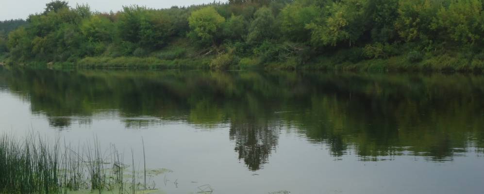 
            Фотография Подвинья