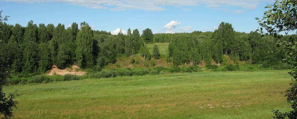 
            Фотография Нарезки