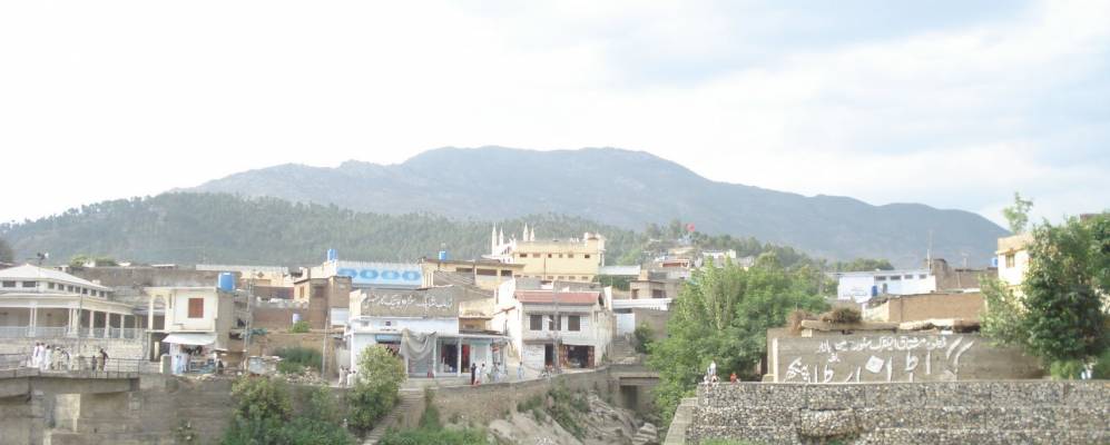 
            Фотография Баффы