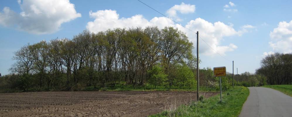 
            Фотография Мидлума