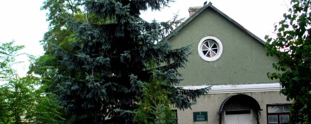 
            Фотография Сошники