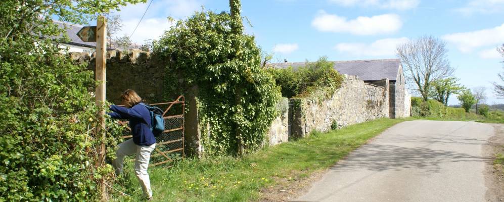 
            Фотография Бомариса