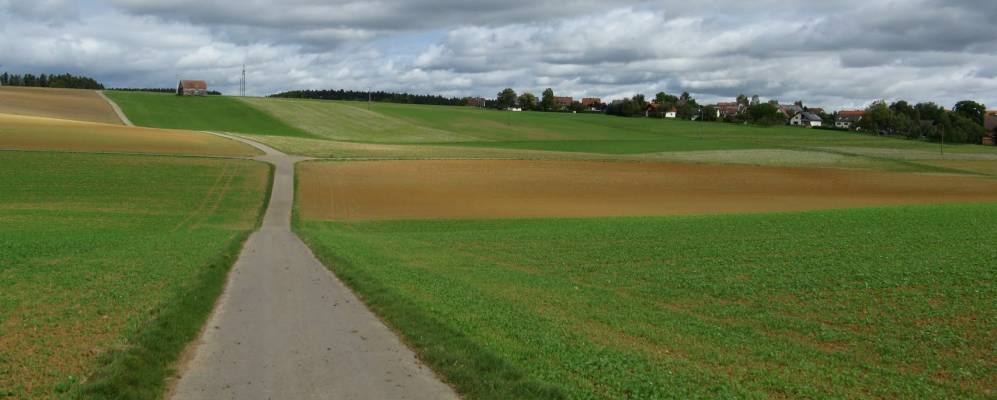 
            Фотография Босингена