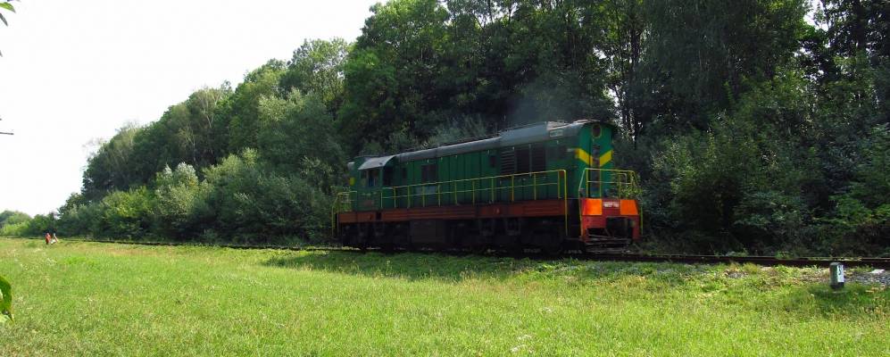 
            Фотография Серединки