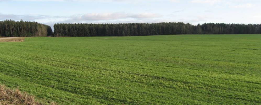 Фотография Сковородки