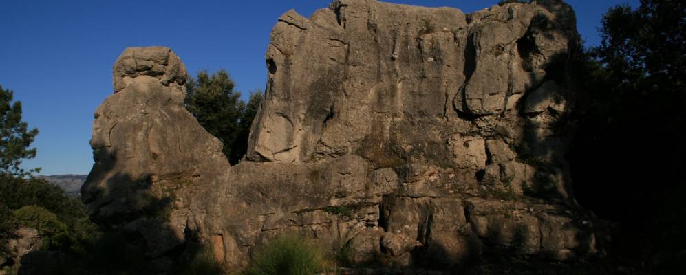 
            Фотография Кабри