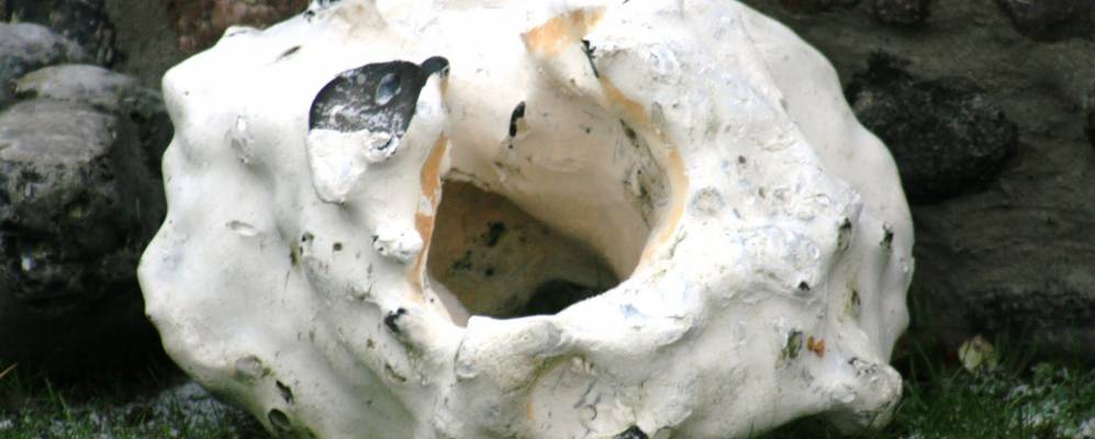 
            Фотография Ломе