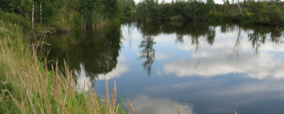 
            Фотография деревни Коноплицы