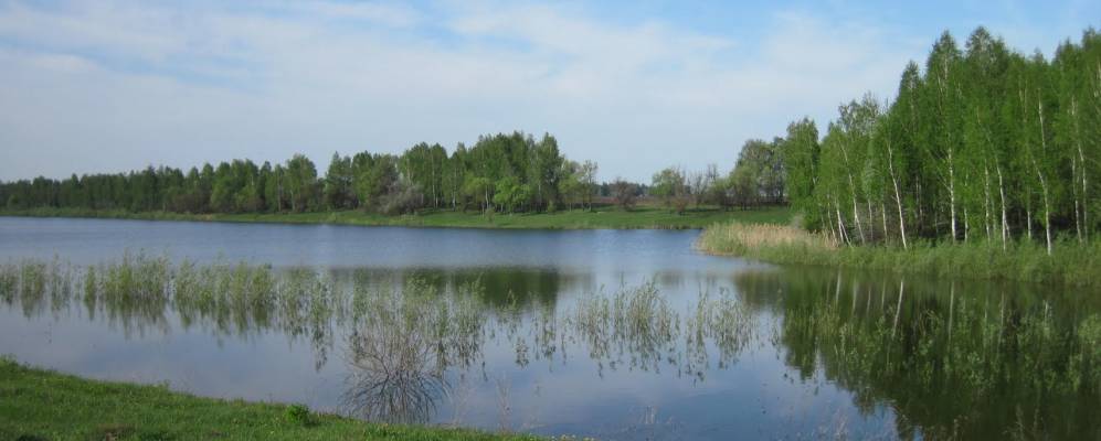 
            Фотография Сухой Лохвицы