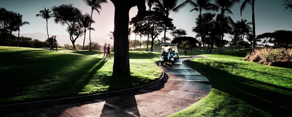 Фотография Уэйлея