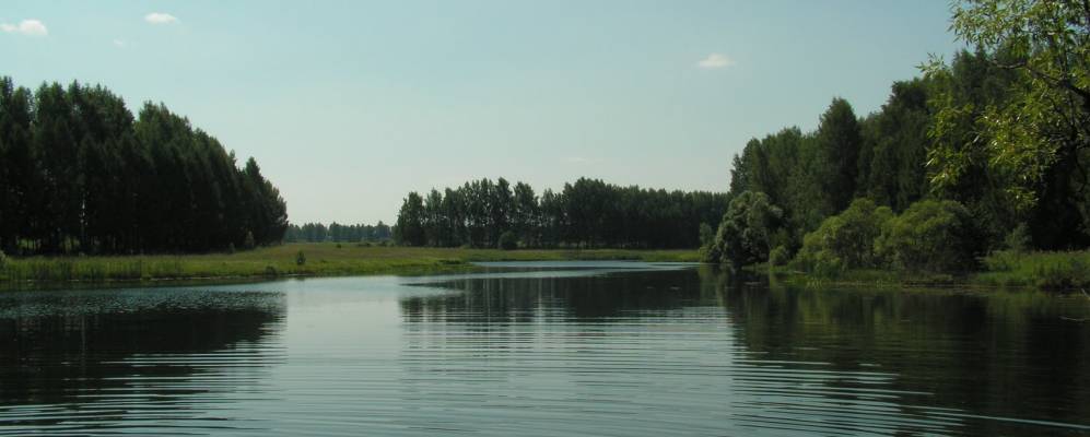 
            Фотография Новой Стефии