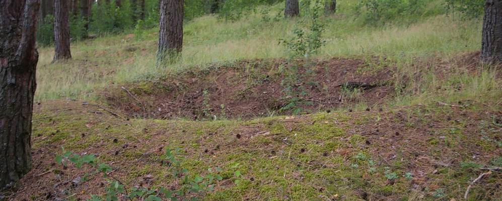 
            Фотография Нового Подсосонья