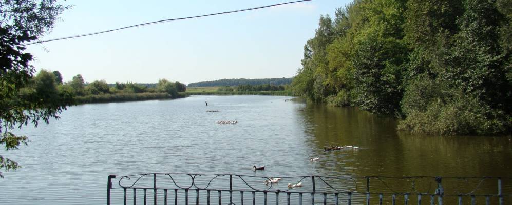 
            Фотография Пеньки