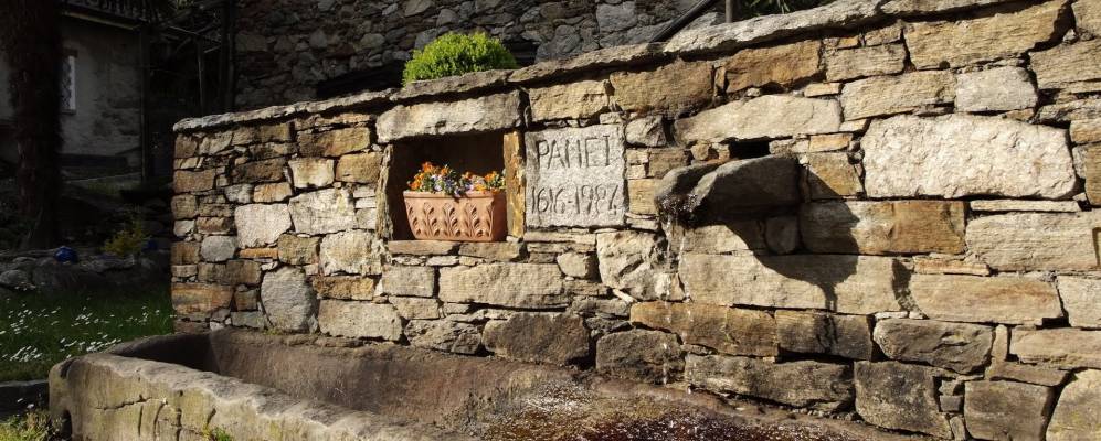 
            Фотография Кларо