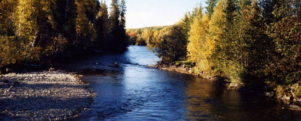 
            Фотография Селигдара