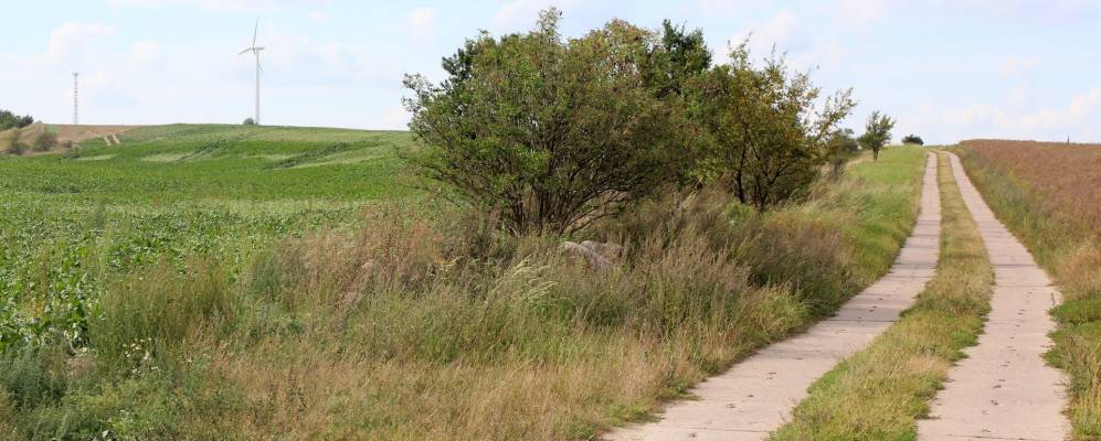 
            Фотография Касекова