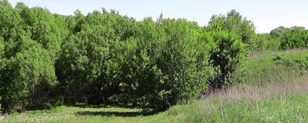 
            Фотография Старой Петровки