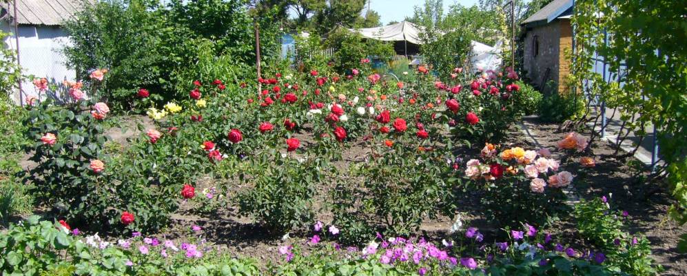 
            Фотография Симоновки