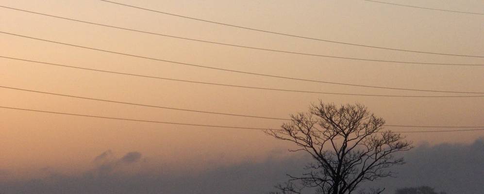 
            Фотография Вартона