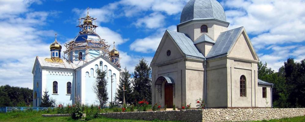 
            Фотография Гнилички