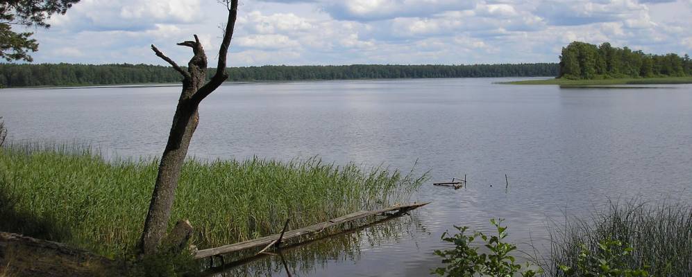 
            Фотография Крутелево