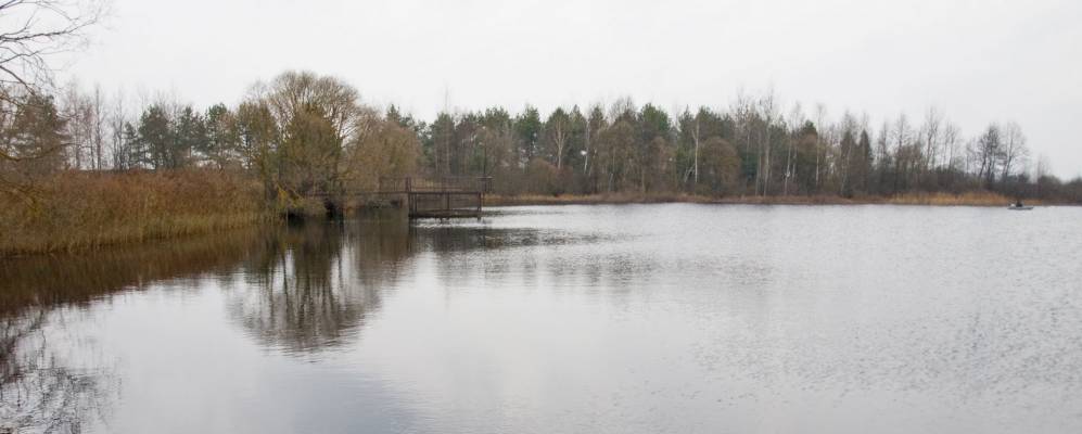 
            Фотография Кадино