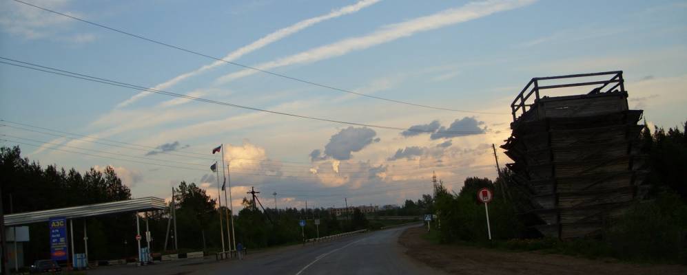 
            Фотография Теребея