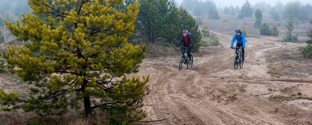 Фотография Замлынья