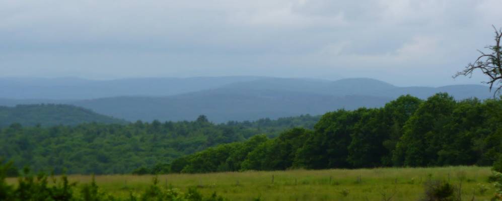 
            Фотография Честерфилда