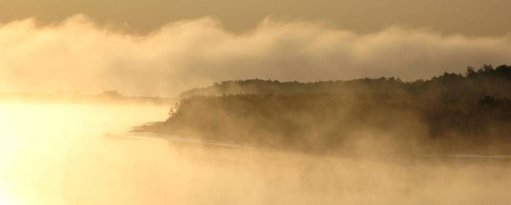 
            Фотография Петрово